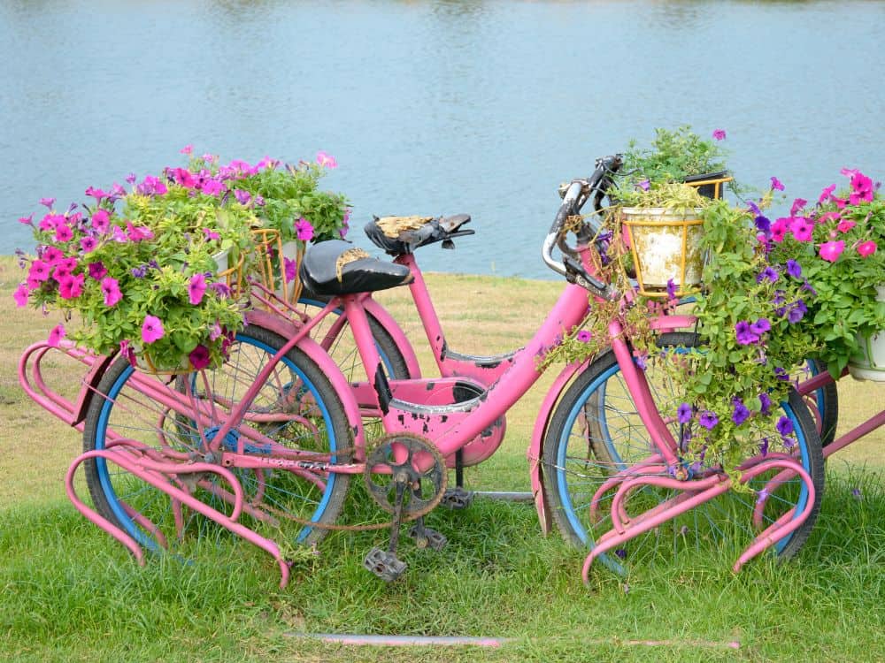 From Waste to Wow: 19 Creative Garden Recycling Ideas to Revitalize Your Garden Image by khunkorn #gardenrecyclingideas #upcyledgardenideas #creativegardenrecyclingideas #gardenupcycleideas #diyupcycledgardenideas #recyclinginthegardenideas #sustainablejungle