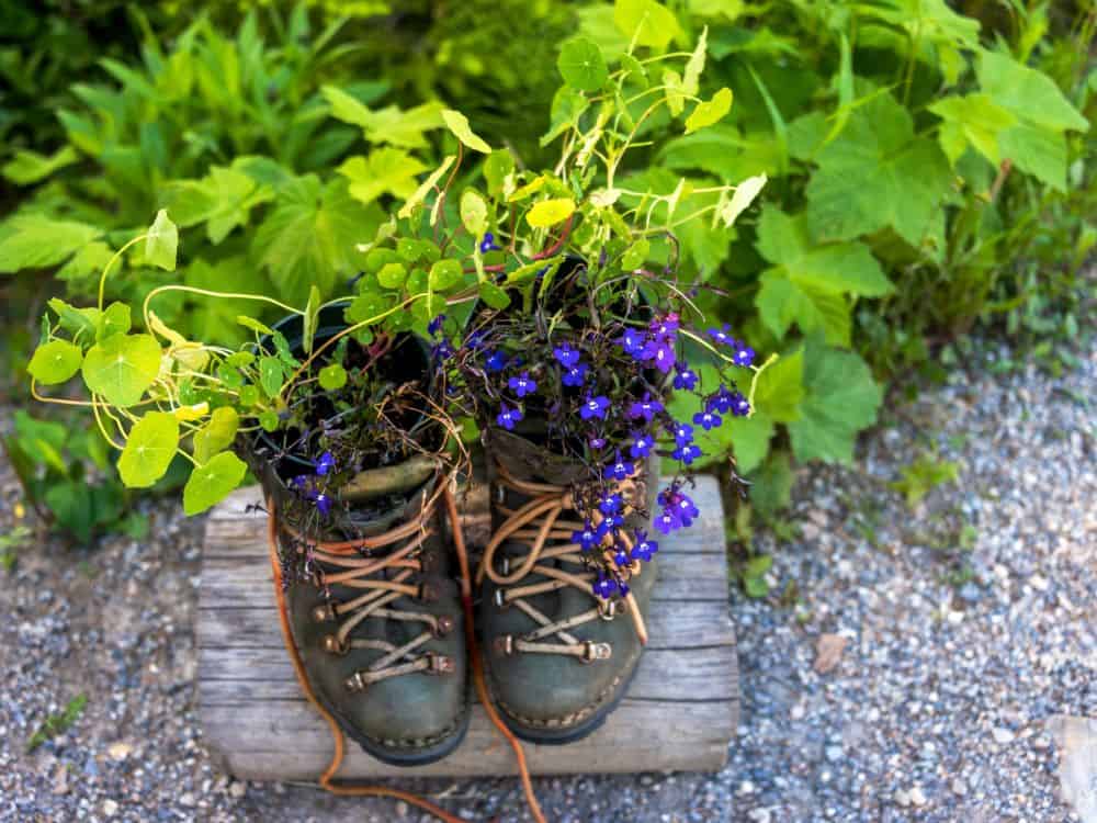 From Waste to Wow: 19 Creative Garden Recycling Ideas to Revitalize Your Garden Image by len3c #gardenrecyclingideas #upcyledgardenideas #creativegardenrecyclingideas #gardenupcycleideas #diyupcycledgardenideas #recyclinginthegardenideas #sustainablejungle