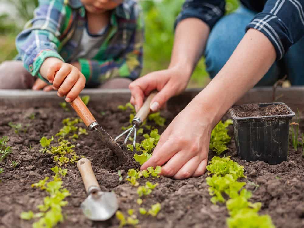 Building A Backyard Homestead: 13 Ideas For Living Small & (Self) Sustainably Image by marchenko_family #backyardhomestead #backyardhomesteading #backyardhomesteadudeas #smallhomesteadgardenideas #smallhomesteading #sustainablejungle