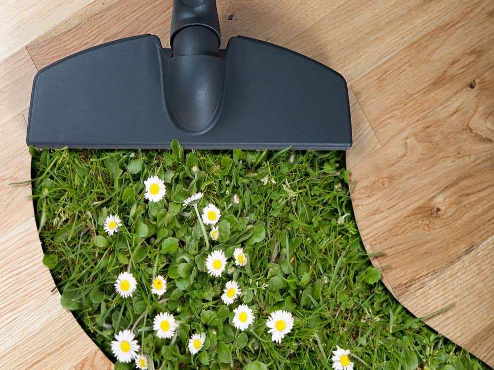 A Sustainable Spring Cleaning Checklist - Freshen Up Your Home Without Harming The Planet Image by mediaproduction #sustainablespringcleaning #sustainablespringcleaningtipsandtricks #greenspringcleaning #greenspringcleaningtips #tipsandtricksforsustainablespringcleaning #sustainablejungle