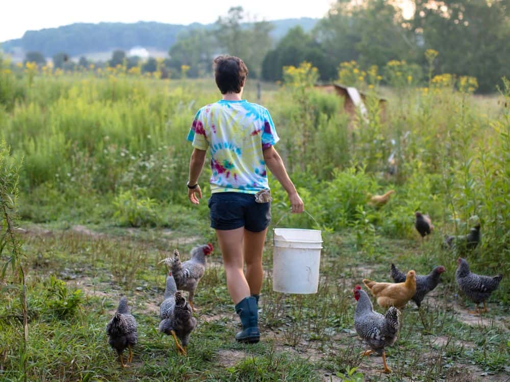 What Is a Self-Sufficient Homestead & Why You Should Start One Image by zoe schaeffer #selfsufficienthomestead #howtomakeaselfsufficienthomestead #selfsustainingbackyardfarm #selfsustainablefarm #selfsufficientfarming #defineselfsufficienthomestead #sustainablejungle