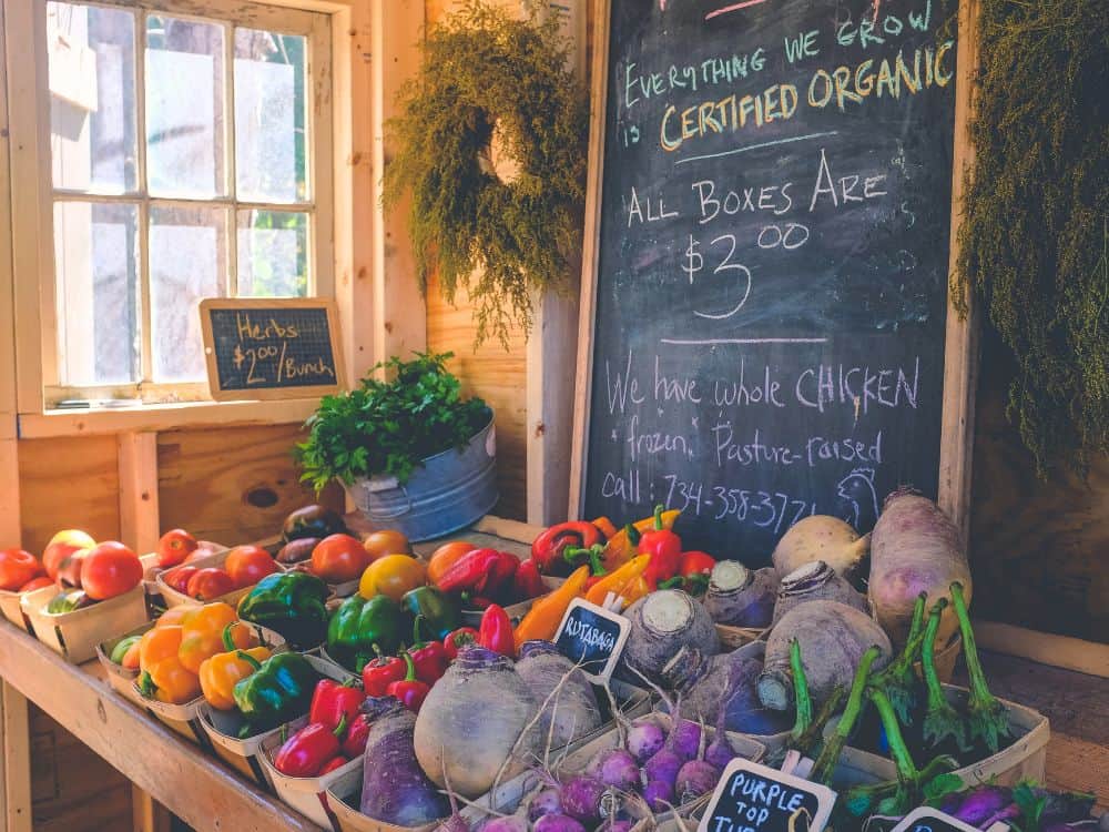 What Is a Self-Sufficient Homestead & Why You Should Start One Image by zoe schaeffer #selfsufficienthomestead #howtomakeaselfsufficienthomestead #selfsustainingbackyardfarm #selfsustainablefarm #selfsufficientfarming #defineselfsufficienthomestead #sustainablejungle