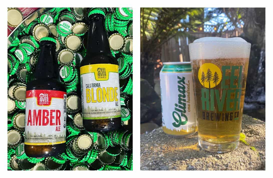 9 Sustainable & Organic Beer Brands Making Our Planet Hoppy Images by Eel River Brewing Company #organicbeer #sustainablebeer #organicbeerbrands #bestorganicbeer #sustainablebeercompanies #sustainablebeenpractices #sustainablejungle