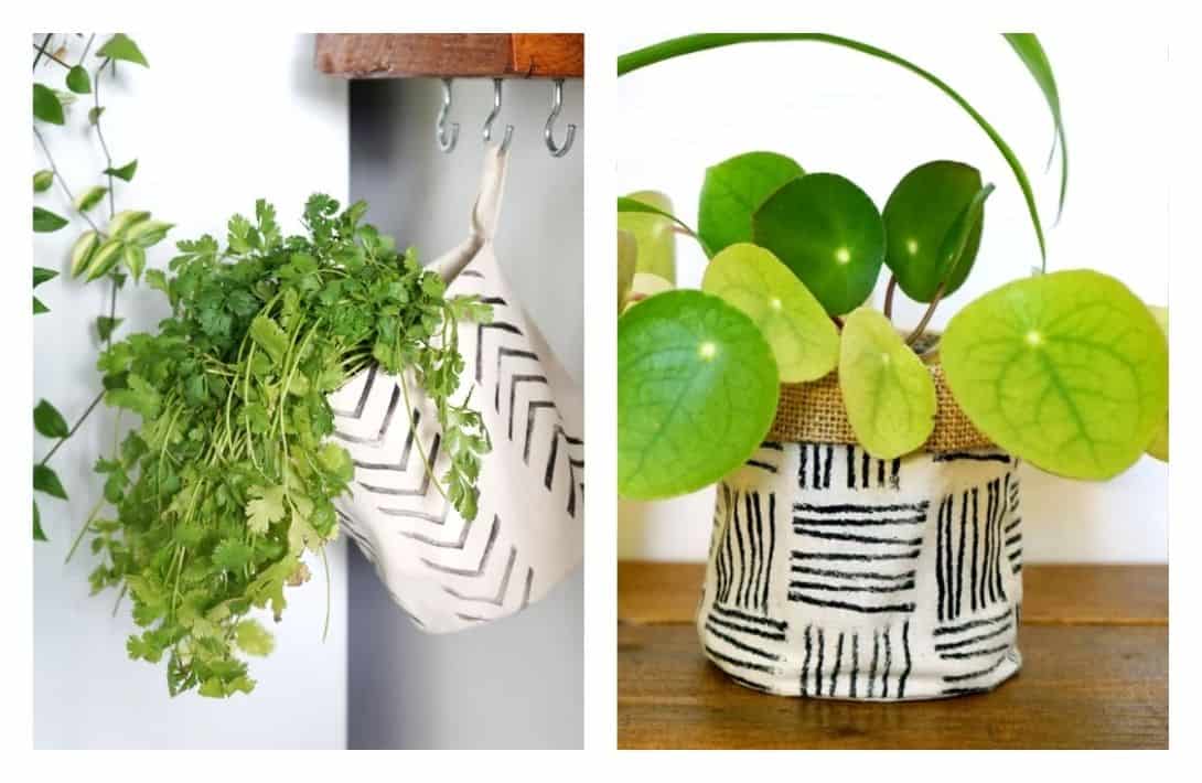 7 Recycled Plant Pots For Circularity-Minded Planters Images by Plant Apparel UK #recycledplantpots #DIYrecycledplantpots #recycledplasticpots #recycledplasticoutdoorplanters #recycledplanters#recycledgardenpots #sustainablejungle