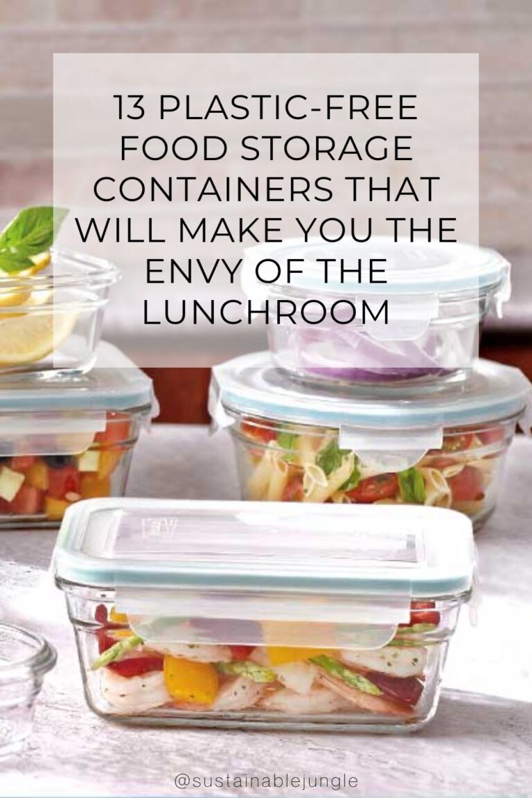 11 PlasticFree Food Storage Containers For LowImpact Leftovers