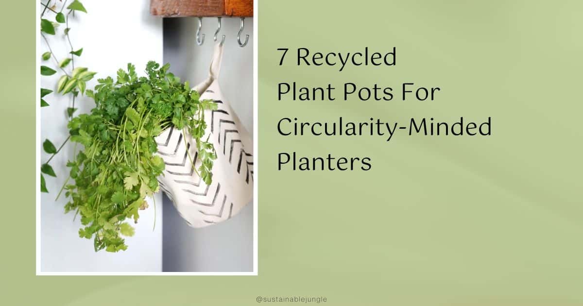 Make these recycled planet-saving plant pots