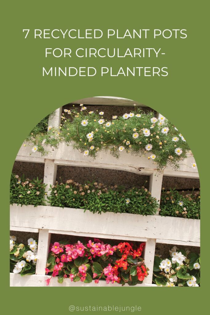 7 Recycled Plant Pots For CircularityMinded Planters