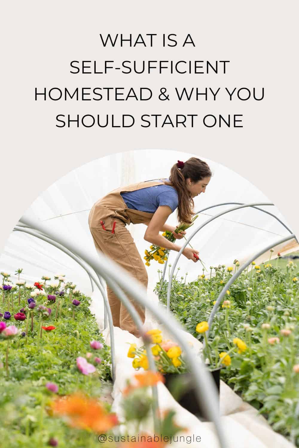 What Is a Self-Sufficient Homestead & Why You Should Start One Image by zoe schaeffer #selfsufficienthomestead #howtomakeaselfsufficienthomestead #selfsustainingbackyardfarm #selfsustainablefarm #selfsufficientfarming #defineselfsufficienthomestead #sustainablejungle