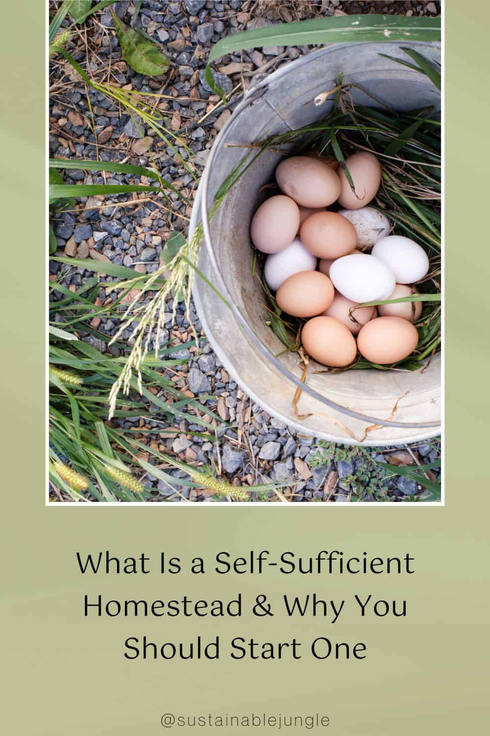 What Is a Self-Sufficient Homestead & Why You Should Start One Image by zoe schaeffer #selfsufficienthomestead #howtomakeaselfsufficienthomestead #selfsustainingbackyardfarm #selfsustainablefarm #selfsufficientfarming #defineselfsufficienthomestead #sustainablejungle