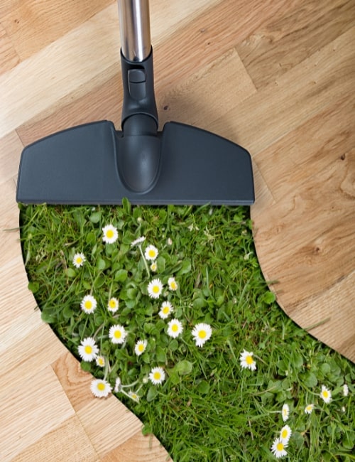 A Sustainable Spring Cleaning Checklist - Freshen Up Your Home Without Harming The Planet Image by mediaproduction #sustainablespringcleaning #sustainablespringcleaningtipsandtricks #greenspringcleaning #greenspringcleaningtips #tipsandtricksforsustainablespringcleaning #sustainablejungle