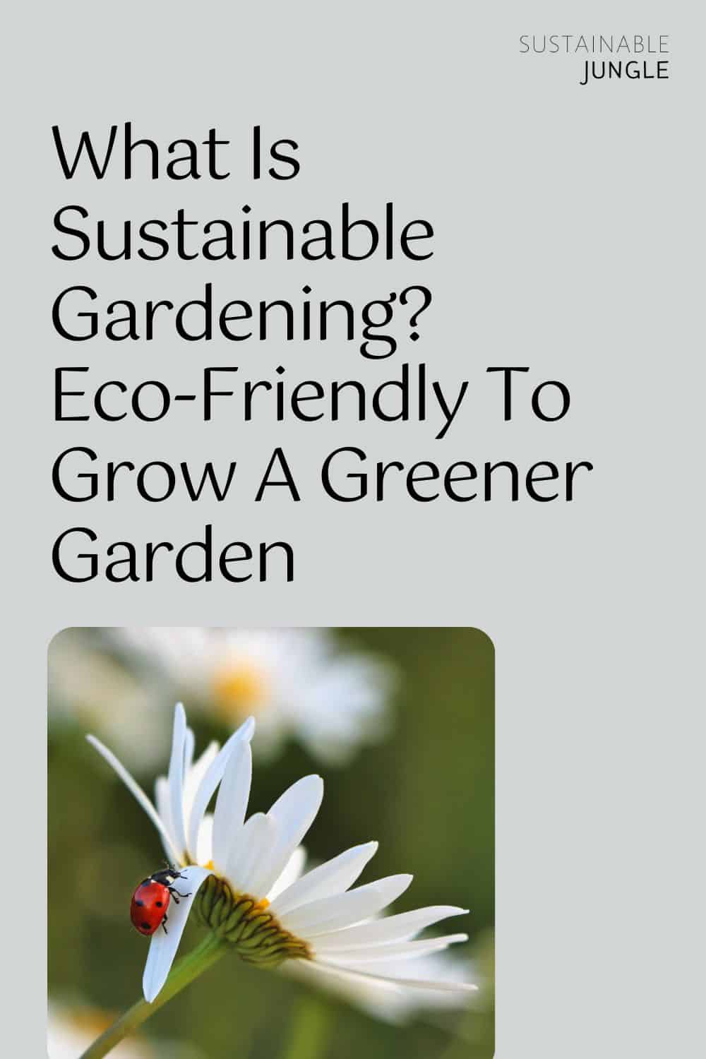 What Is Sustainable Gardening? Eco-Friendly To Grow A Greener Garden Image by greg rosenke #sustainablegardening #sustainablegarden #whatissustainablegardening #sustainablevegetablegardening #ecogardening #ecofriendlygardening #sustainablejungle