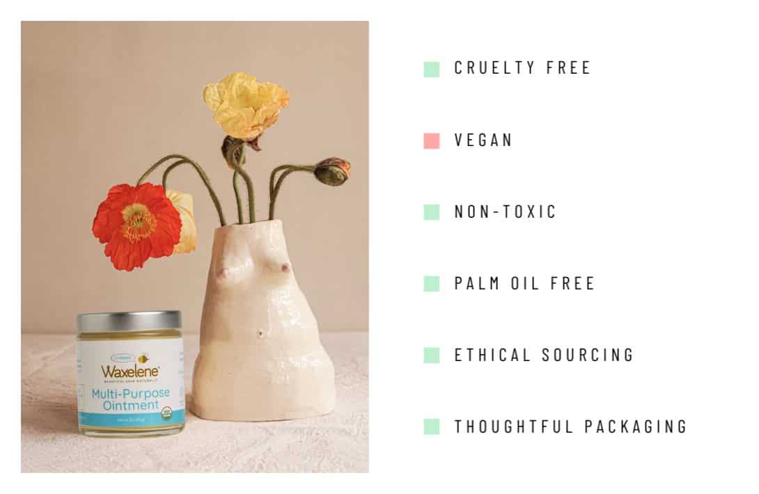 7 Organic Baby Skin Care Products For Pampering & Protecting Your Little One Image by Waxelene #organicbabyskincare #bestorganicbabyskincareproducts #certifiedorganicbabyskincare #naturalbabyskincare #naturalbabyskincareproducts #naturalskincareforbabies #sustainablejungle