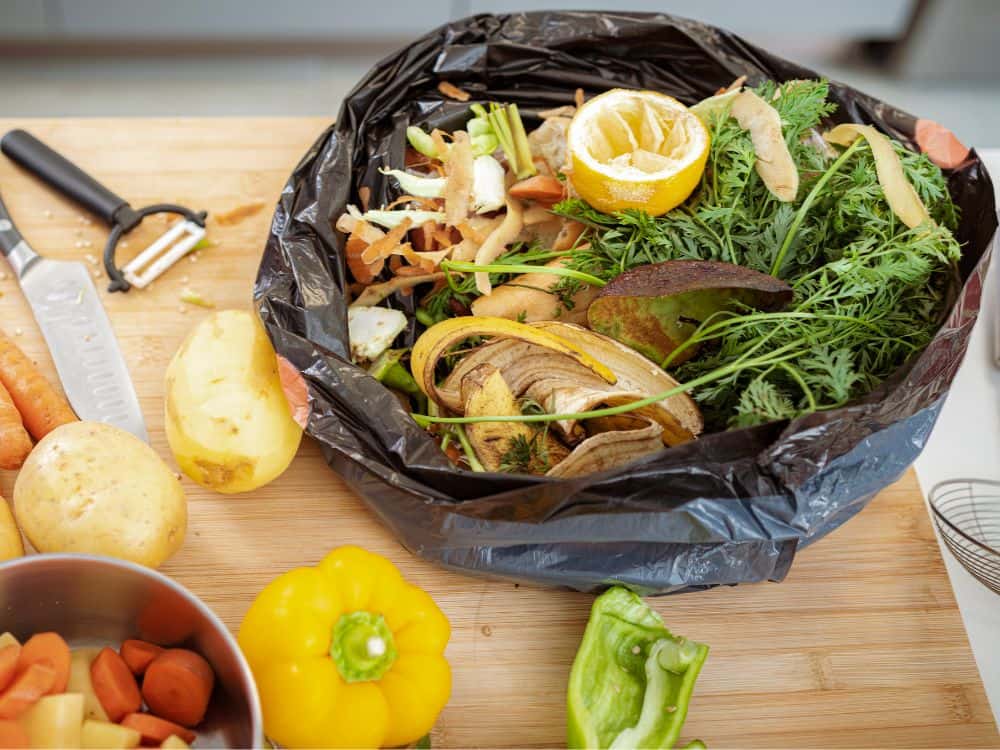 Try These 9 Food Waste Solutions At Home to End Hunger, GHGs, & Your Dirty Fridge Image by fcafotodigital #foodwastesolutions #foodwastesolutionsathome #solutionstofoodwaste #howtopreventfoodwasteathome #solutionsforfoodwaste #foodwastesolutionsathome #sustainablejungle