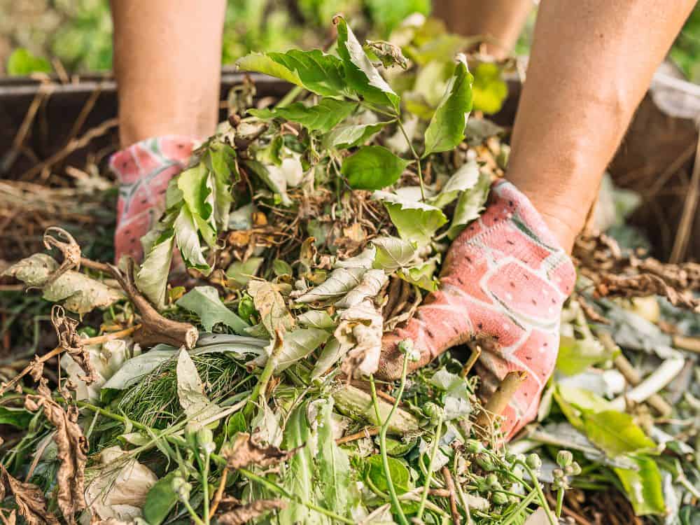 Industrial Dirt Heaps For Good: What is Commercial Composting? Image by larisa stefanuyk #commercialcomposting #industrialcomposting #whatiscommercialcomposting #commerciallycompostable #industrialcompostingsystems #sustainablejungle