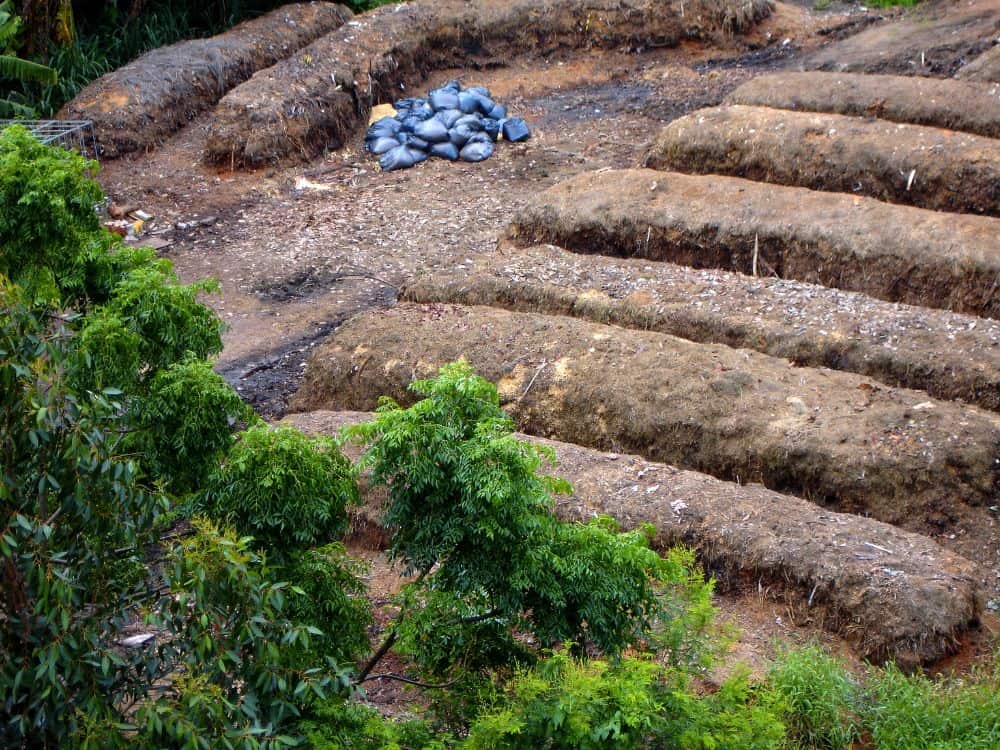 Industrial Dirt Heaps For Good: What is Commercial Composting? Image by mspoli #commercialcomposting #industrialcomposting #whatiscommercialcomposting #commerciallycompostable #industrialcompostingsystems #sustainablejungle