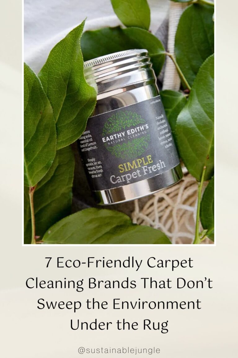 7 EcoFriendly Carpet Cleaning Brands That Don’t Sweep the Environment Under the Rug