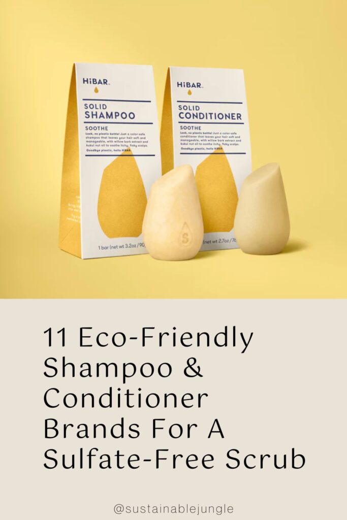 11 EcoFriendly Shampoo & Conditioner Brands For A SulfateFree Scrub