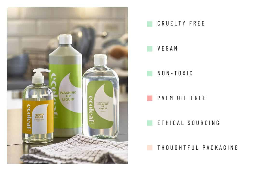 Eco friendly clearance dish soap