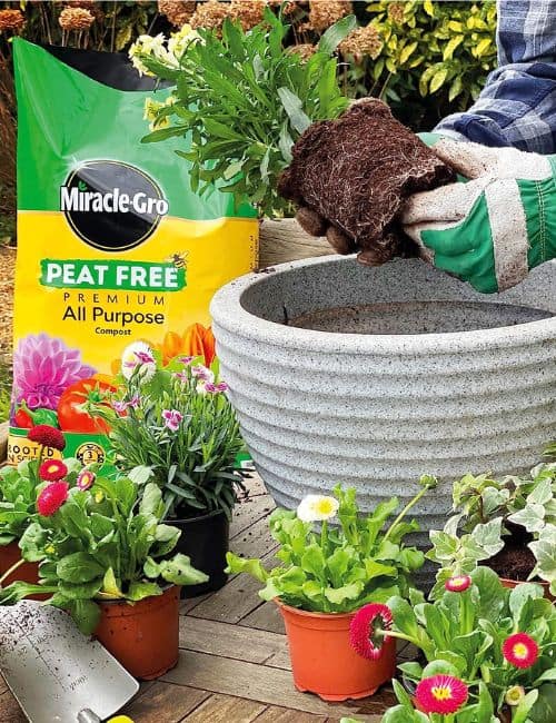 11 Peat-Free Compost Brands For Feeding Plants Without Fueling Climate Change Image by Miracle Gro #peatfreecompost #peatfreepottingsoil #peatfreepottingcompost #whypeatfreecompost #bestpeatfreecompost #ispeatfreecompostbetter #sustainablejungle