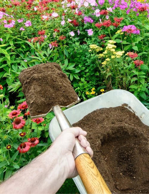 What are the alternatives to using peat-based compost? / RHS Gardening