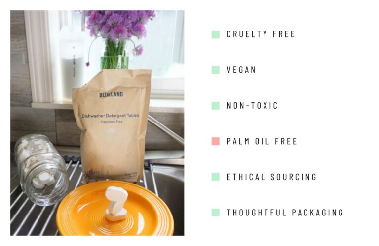 9 NonToxic Dishwasher Detergents That Won’t Sink Your Sustainable Kitchen