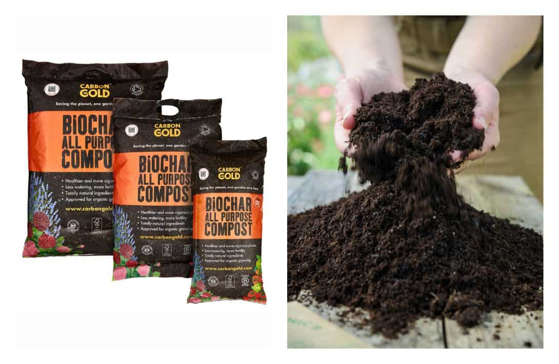 11 Peat-Free Compost Brands For Feeding Plants Without Fueling Climate Change Images by Carbon Gold #peatfreecompost #peatfreepottingsoil #peatfreepottingcompost #whypeatfreecompost #bestpeatfreecompost #ispeatfreecompostbetter #sustainablejungle