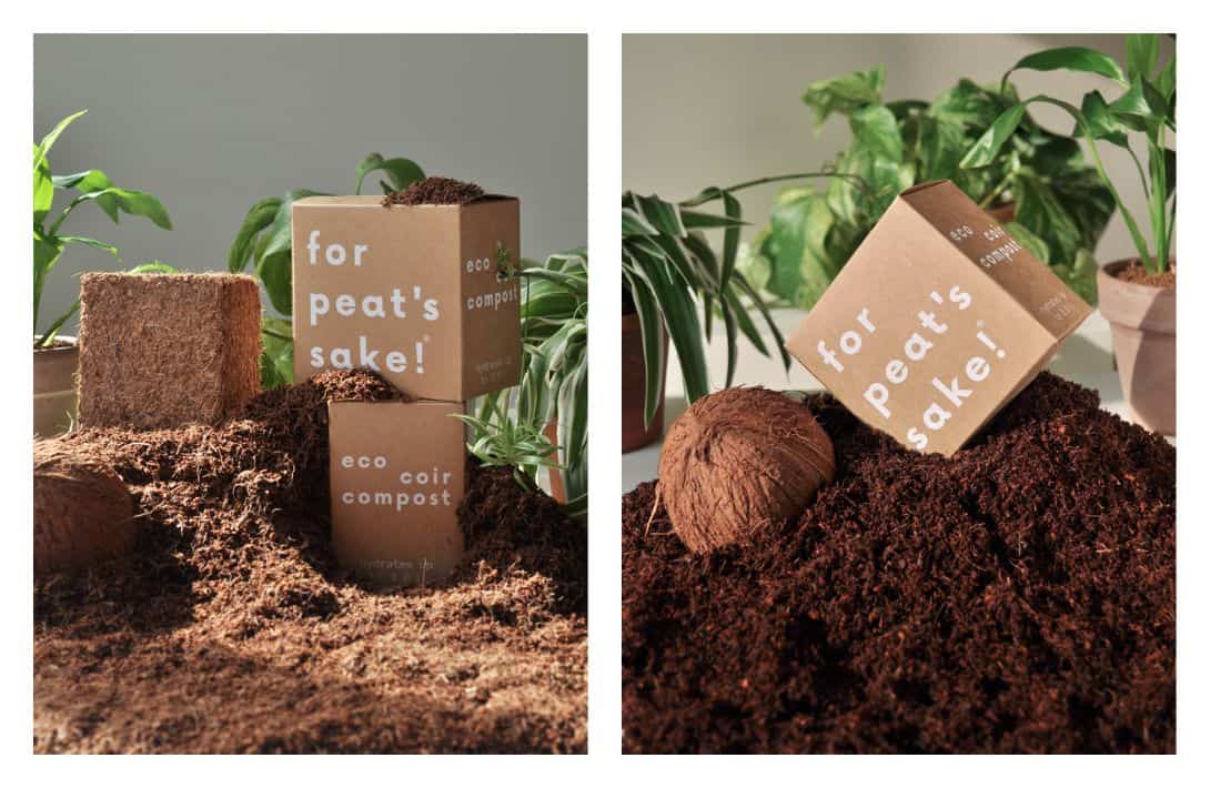 11 Peat-Free Compost Brands For Feeding Plants Without Fueling Climate Change Images by For Peat's Sake #peatfreecompost #peatfreepottingsoil #peatfreepottingcompost #whypeatfreecompost #bestpeatfreecompost #ispeatfreecompostbetter #sustainablejungle