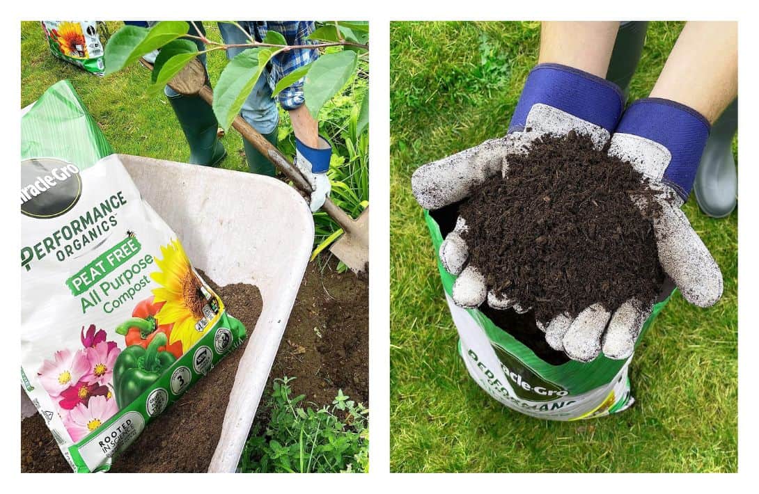 11 Peat-Free Compost Brands For Feeding Plants Without Fueling Climate Change Images by Miracle Gro #peatfreecompost #peatfreepottingsoil #peatfreepottingcompost #whypeatfreecompost #bestpeatfreecompost #ispeatfreecompostbetter #sustainablejungle