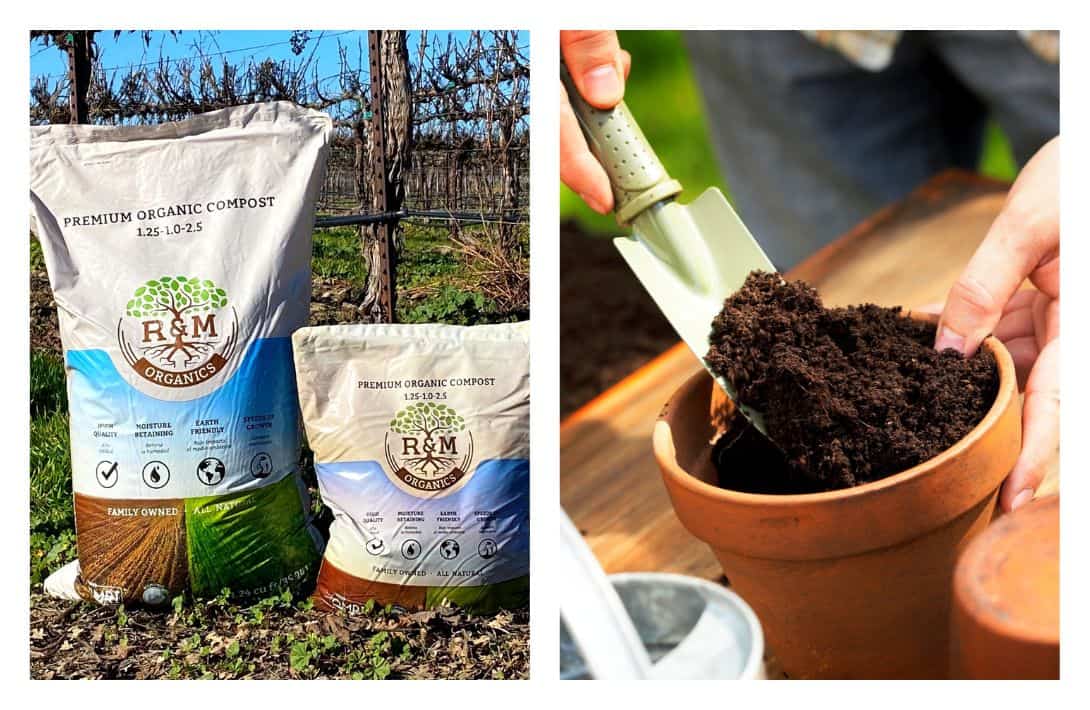 11 Peat-Free Compost Brands For Feeding Plants Without Fueling Climate Change Images by R&M Organics #peatfreecompost #peatfreepottingsoil #peatfreepottingcompost #whypeatfreecompost #bestpeatfreecompost #ispeatfreecompostbetter #sustainablejungle