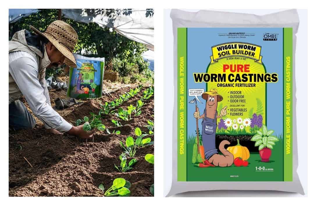 11 Peat-Free Compost Brands For Feeding Plants Without Fueling Climate Change Images by Wiggle Worm #peatfreecompost #peatfreepottingsoil #peatfreepottingcompost #whypeatfreecompost #bestpeatfreecompost #ispeatfreecompostbetter #sustainablejungle