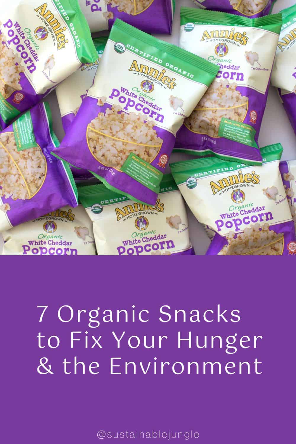 7 Organic Snacks to Fix Your Hunger & the Environment Image by Annie's Organic #organicsnacks #bestorganicsnacks #healthyorganicsnacks #wholefoodsnacks #wholefoodhealthysnacks #organicsnackbrands #sustainablejungle