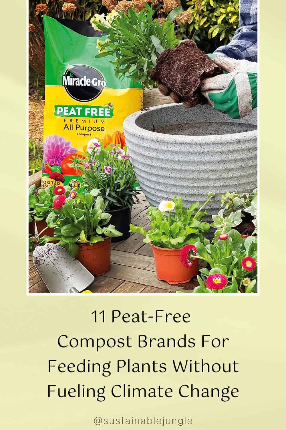 11 Peat-Free Compost Brands For Feeding Plants Without Fueling Climate Change Image by Miracle Gro #peatfreecompost #peatfreepottingsoil #peatfreepottingcompost #whypeatfreecompost #bestpeatfreecompost #ispeatfreecompostbetter #sustainablejungle