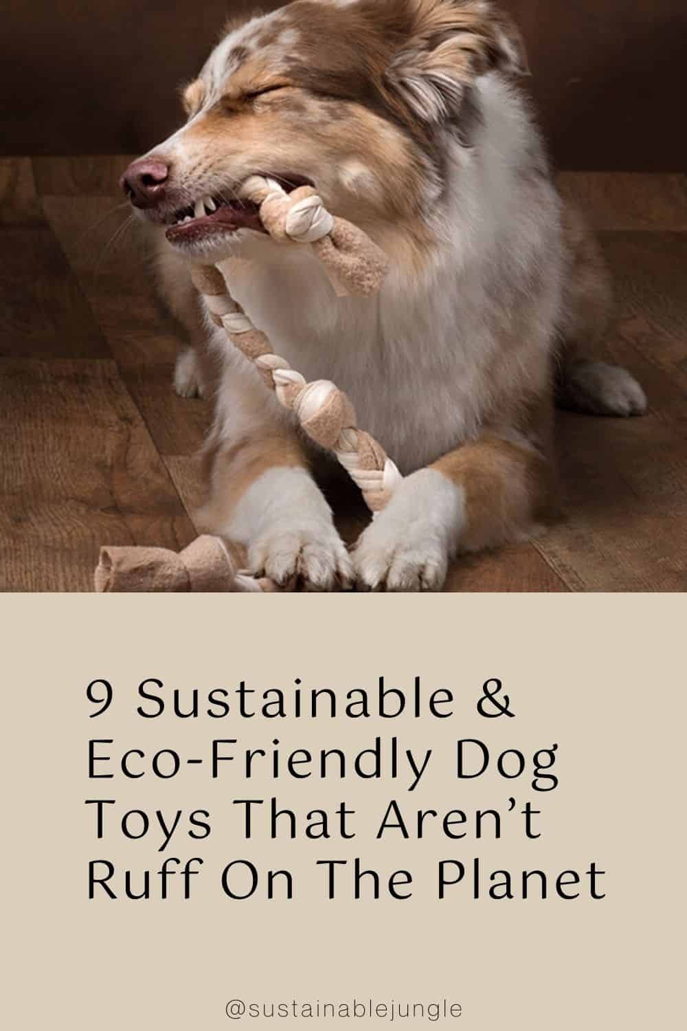 9 Sustainable & Eco-Friendly Dog Toys That Aren’t Ruff On The Planet Image by Purrfect Play #ecofriendlydogtoys #ecofriendlydogchewtoys #sustainabledogtoys #mostdurablesustainabledogtoys #ecofriendlypettoys #sustainablejungle