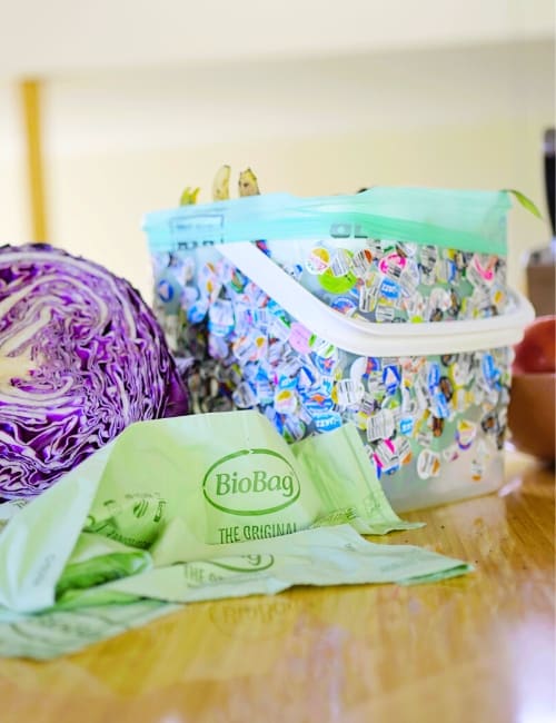 Eco-Friendly Trash Bags - The Most Environmentally Friendly Options