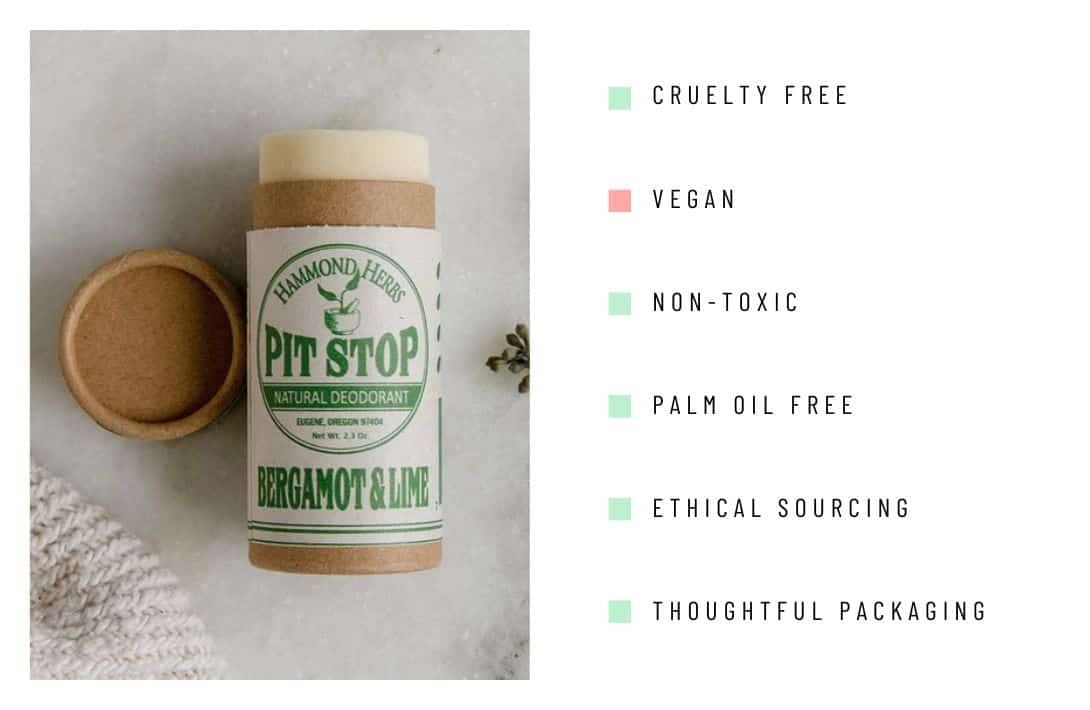 11 Eco-Friendly Deodorant Brands For Beating BO Sustainably Image by zerowastestore.com #ecofriendlydeodorant #sustainabledeodorant #sustainabledeodorantbrands #bestecofriendlydecoroant #ecofriendlydeodorantcontainers #naturalsustainabledeodorant #sustainablejungle