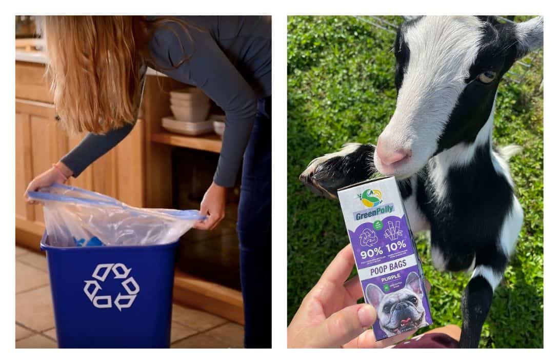 9 Recycled Trash Bags For A Green(er) Garbage Can Images by GreenPolly #recycledtrashbags #recycledgarbagebags #recycledplastictrashbags #garbagebagsmadefromrecycledplastic #ecofriendlytrashbags #ecofriendlygarbagebags #sustainablejungle