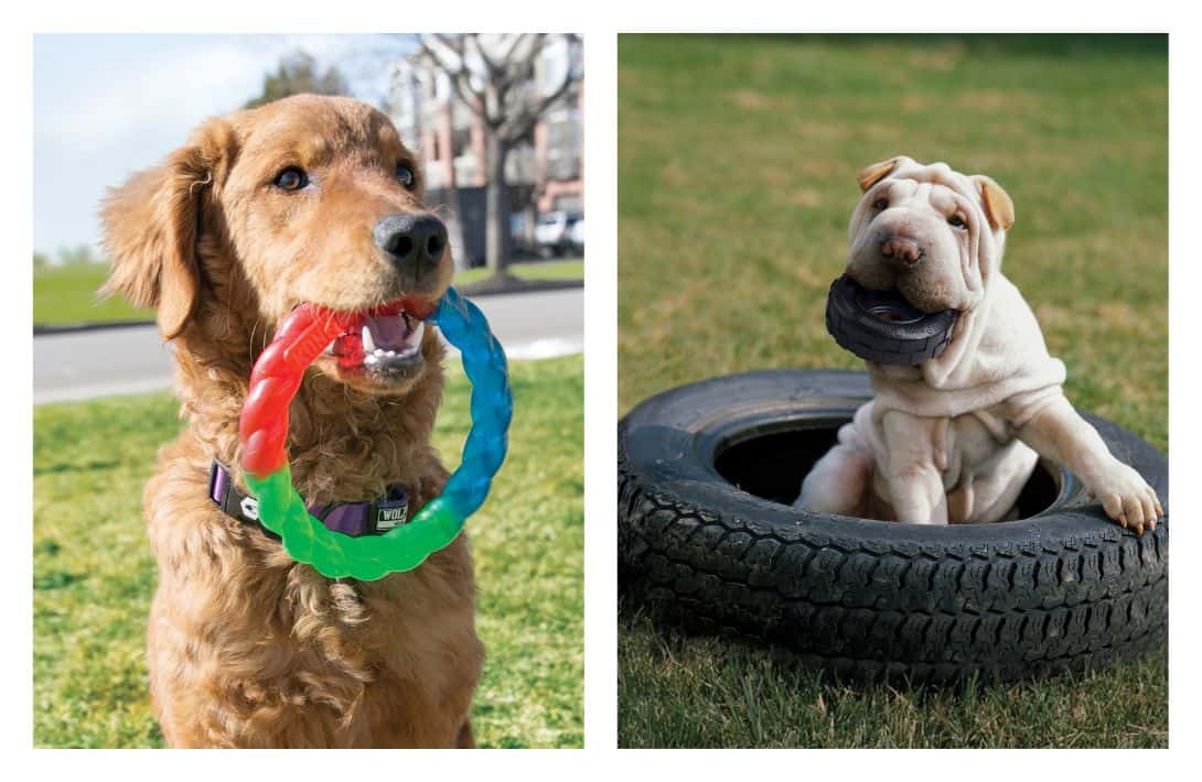 9 Sustainable & Eco-Friendly Dog Toys That Aren’t Ruff On The Planet Images by Kong #ecofriendlydogtoys #ecofriendlydogchewtoys #sustainabledogtoys #mostdurablesustainabledogtoys #ecofriendlypettoys #sustainablejungle