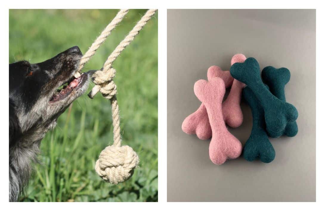 9 Sustainable & Eco-Friendly Dog Toys That Aren’t Ruff On The Planet Images by Pawsome #ecofriendlydogtoys #ecofriendlydogchewtoys #sustainabledogtoys #mostdurablesustainabledogtoys #ecofriendlypettoys #sustainablejungle