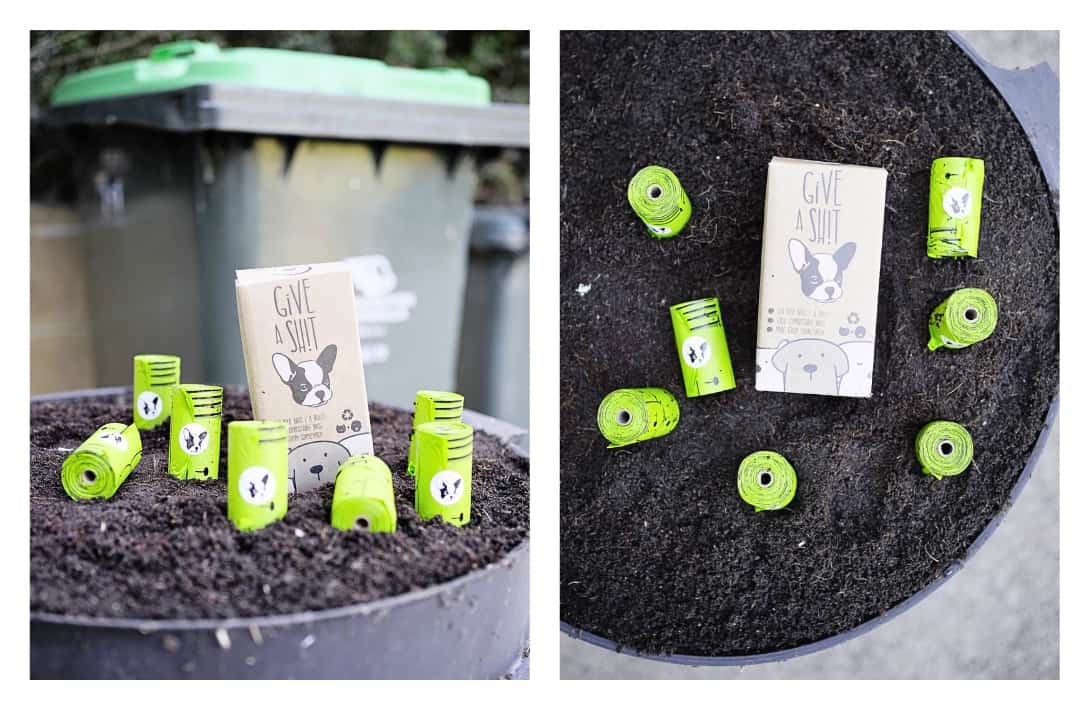 9 Best Compostable & Biodegradable Trash Bags To Greenify Garbage Day Images by Sustainable Jungle #biodegradabletrashbags #biodegradablegarbagebags #compotabletrashbags #compostablegarbagebags #bestbiodegradabletrashbags #bestcompostabletrashbags #sustainablejungle