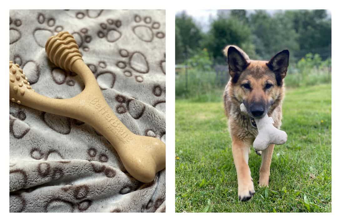 9 Sustainable & Eco-Friendly Dog Toys That Aren’t Ruff On The Planet Images by Sustainable Jungle #ecofriendlydogtoys #ecofriendlydogchewtoys #sustainabledogtoys #mostdurablesustainabledogtoys #ecofriendlypettoys #sustainablejungle