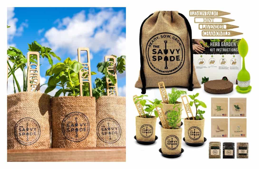 11 Home Growing Kits to Nourish Your Apartment & Your Appetite Images by The Saavy Spade #growingkits #plantingkits #plantgrowkit #microgreensgrowingkit #mushroomgrowingkits #indoorplantingkits #sustainablejungle