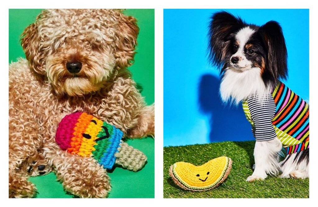 9 EcoFriendly Dog Toys That Aren't Ruff On The