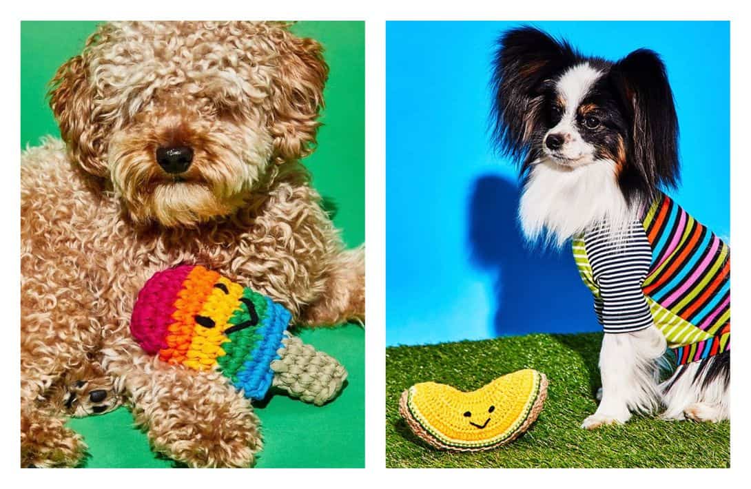 9 Sustainable & Eco-Friendly Dog Toys That Aren’t Ruff On The Planet Images by Ware of the Dog #ecofriendlydogtoys #ecofriendlydogchewtoys #sustainabledogtoys #mostdurablesustainabledogtoys #ecofriendlypettoys #sustainablejungle