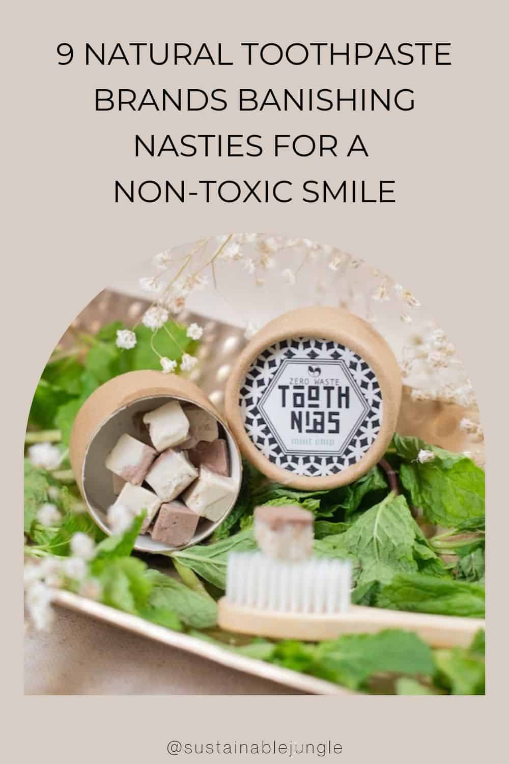 9 Natural Toothpaste Brands Banishing Nasties For A Non-Toxic Smile Image by ScentCerae #naturaltoothpaste #bestnaturaltoothpaste #allnaturaltoothpaste #organictoothpaste #organictoothpastebrands#organicfluoridefreetoothpaste #sustainablejungle