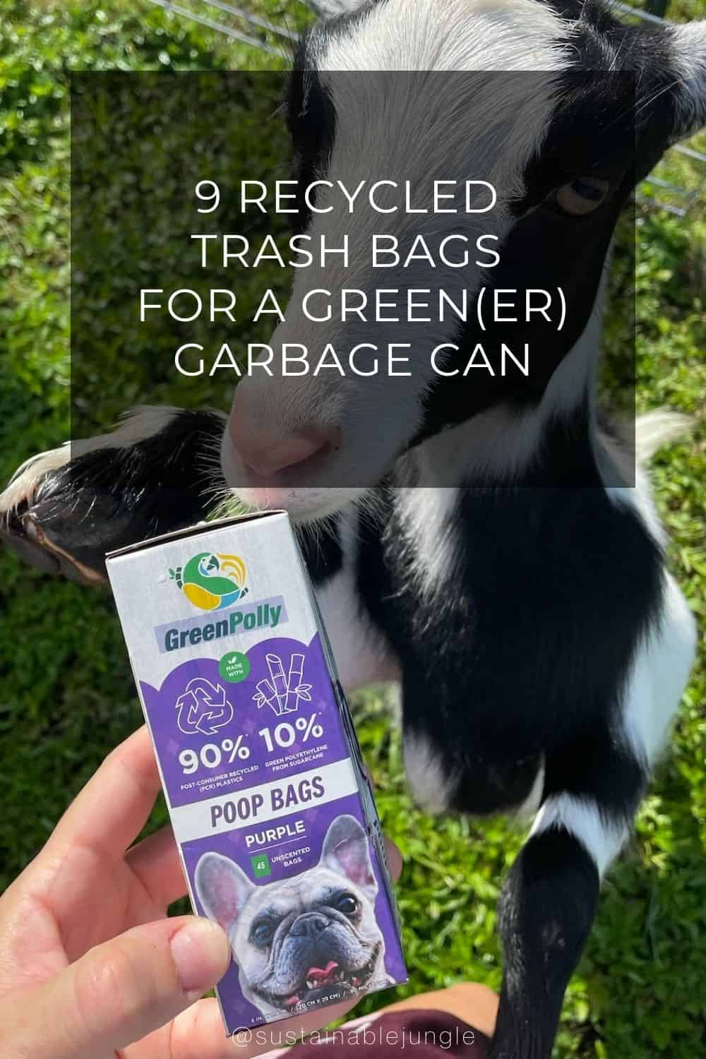 9 Recycled Trash Bags For A Green(er) Garbage Can Image by GreenPolly #recycledtrashbags #recycledgarbagebags #recycledplastictrashbags #garbagebagsmadefromrecycledplastic #ecofriendlytrashbags #ecofriendlygarbagebags #sustainablejungle