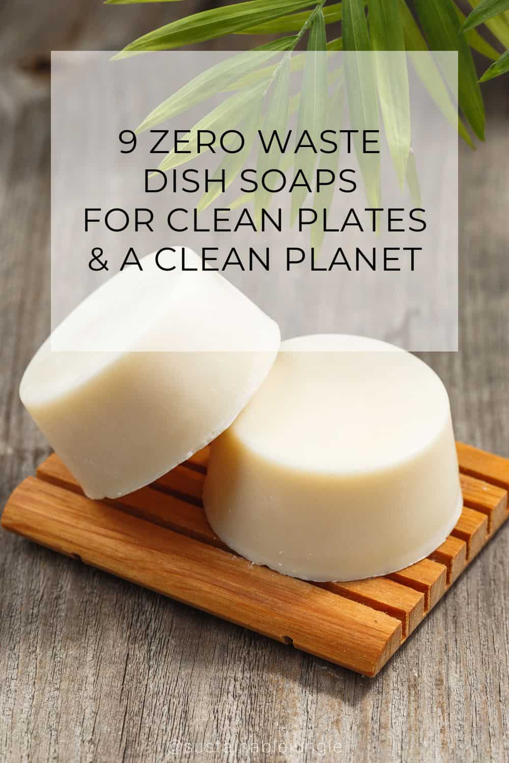 Zero Waste Dish Soap Bar and Pot Scrubber - Eco Girl Shop