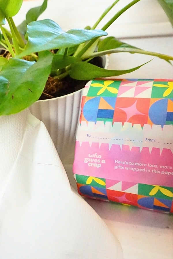 Zero Waste Toilet Paper – 7 Plastic Free Alternatives Wiping Away Waste Image by Sustainable Jungle #zerowastetoiletpaper #ecofriendlytoiletpaper #sustainablejungle