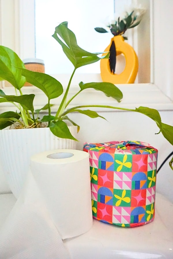 9 Eco Friendly Toilet Paper Brands For A Planet Friendly Potty Image by Sustainable Jungle #ecofriendlytoiletpaper #sustainabletoiletpaper #sustainablejungle