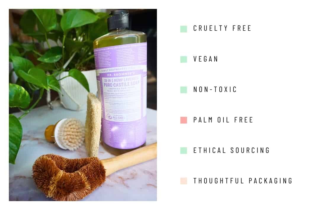 9 Safe & Non-Toxic Cleaning Products to Help You Green Clean Your Way to Sparkling Spaces Image by Sustainable Jungle #nontoxiccleaningproducts #nontoxiccleaningbrands #nontoxiccleaners #nontoxichouseholdcleaners #safecleaningproducts #safestcleaningproducts #sustainablejungle