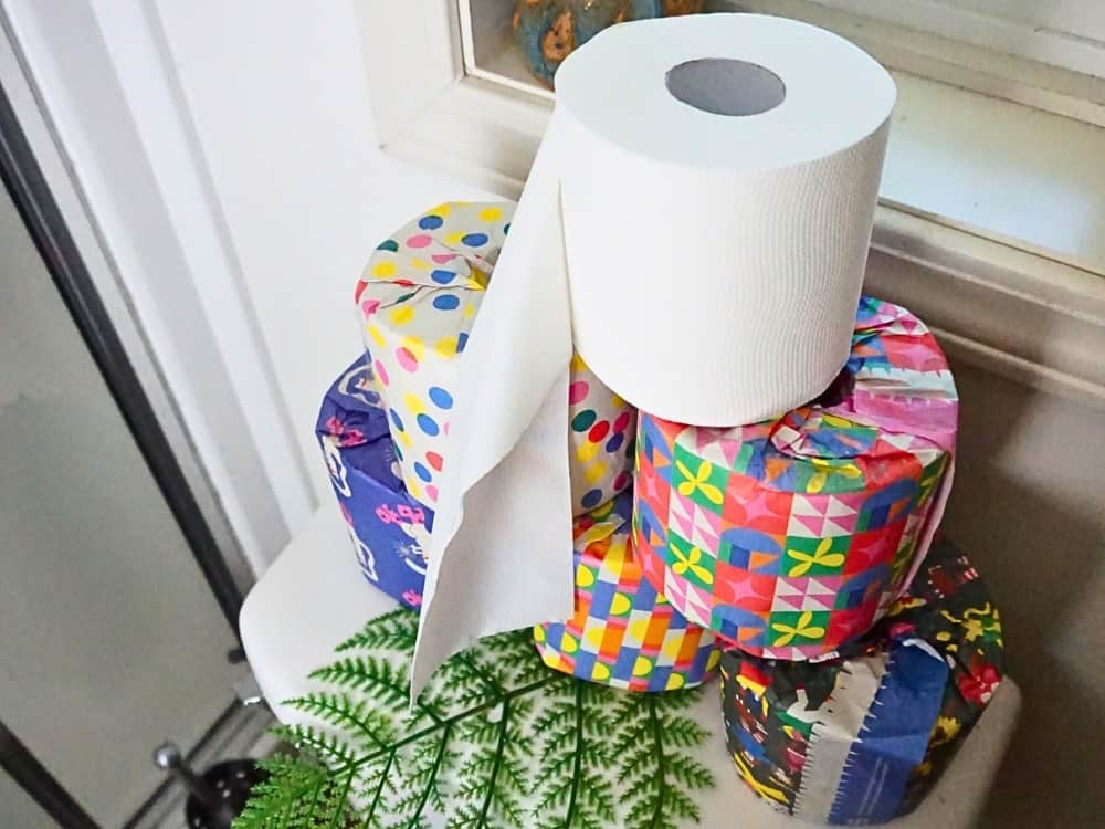 Who Gives A Crap Toilet Paper: A Review Of Their Recycled TP Image by Sustainable Jungle #whogivesacrapreview #sustainablejungle